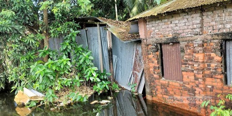 কোরবানির ‘হাড্ডিতে’ মেয়ের গোস্তের আবদার মিটিয়ে কাঁদলেন বাবা