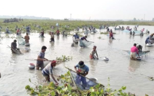 দুই দশকে বিলুপ্তপ্রায় চলনবিলের ৯০ প্রজাতির মাছ